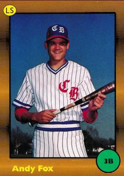1989 Little Sun High School Prospects #8 Andy Fox Front