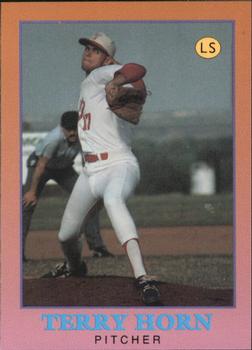 1991 Little Sun High School Prospects #24 Terry Horn Front