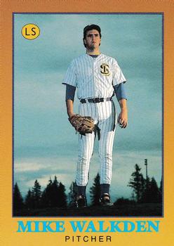 1991 Little Sun High School Prospects Gold #22 Mike Walkden Front