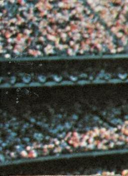 1978 Fleer Grand Slam Hi-Gloss Stickers #NNO Kansas City Royals Team (Pink) Back