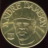 1992 Bandai Sport Star Collector Coins #NNO Andre Dawson Front