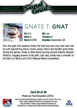 2013 Brandt Savannah Sand Gnats #36 Gnate T. Gnat Back