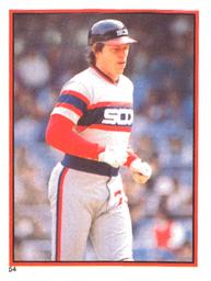 1983 O-Pee-Chee Stickers #54 Carlton Fisk Front