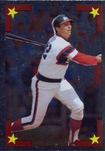 1986 O-Pee-Chee Stickers #162 Carlton Fisk Front
