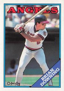 1988 O-Pee-Chee #331 Brian Downing Front
