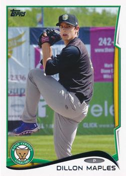 2014 Topps Pro Debut #211 Dillon Maples Front