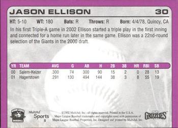 2002 MultiAd Fresno Grizzlies #5 Jason Ellison Back