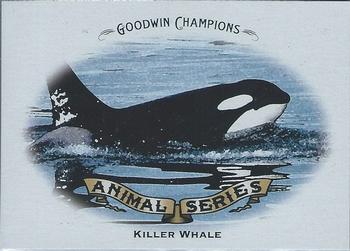 2009 Upper Deck Goodwin Champions - Animal Series #AS-9 Killer Whale Front