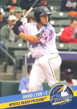 2014 Choice Myrtle Beach Pelicans #20 David Lyon Front