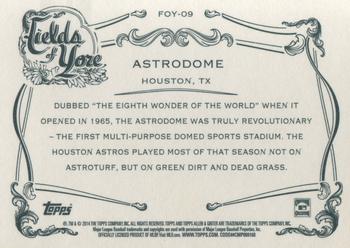 2014 Topps Allen & Ginter - Fields of Yore #FOY-09 Astrodome Back