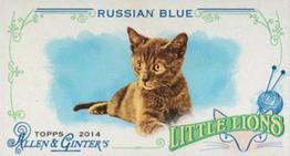 2014 Topps Allen & Ginter - Mini Little Lions #LL-08 Russian Blue Front