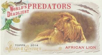 2014 Topps Allen & Ginter - Mini World's Deadliest Predators #WDP-06 African Lion Front