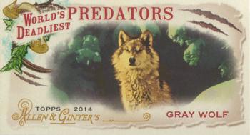 2014 Topps Allen & Ginter - Mini World's Deadliest Predators #WDP-18 Gray Wolf Front