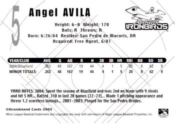 2005 Grandstand Aberdeen IronBirds #NNO Angel Avila Back