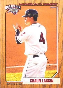 2013 Choice Mahoning Valley Scrappers #33 Shaun Larkin Front