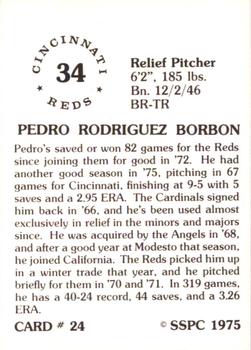1976 SSPC #24 Pedro Borbon Back