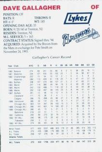 1994 Lykes Atlanta Braves Perforated #NNO Dave Gallagher Back