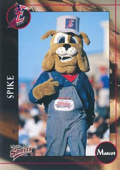 2001 Multi-Ad Round Rock Express #30 Spike Front