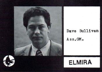 1987 Cain Elmira Pioneers Black #3 Dave Sullivan Front