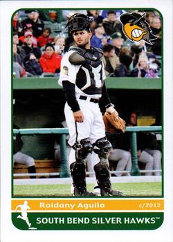 2012 Grandstand South Bend Silver Hawks #1 Roidany Aguila Front