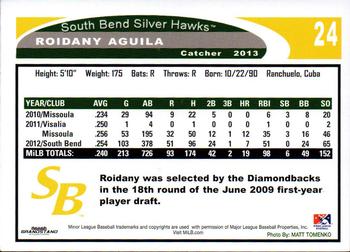 2013 Grandstand South Bend Silver Hawks #NNO Roidany Aguila Back