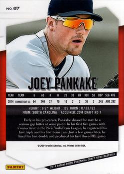 2014 Panini Prizm Perennial Draft Picks #87 Joey Pankake Back