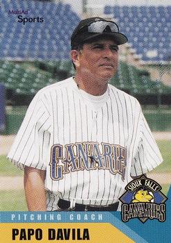 2002 MultiAd Sioux Falls Canaries #3 Papo Davila Front