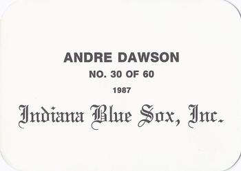1987 Indiana Blue Sox (unlicensed) #30 Andre Dawson Back