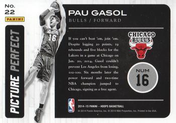 2014-15 Hoops - Picture Perfect Artist's Proof #22 Pau Gasol Back
