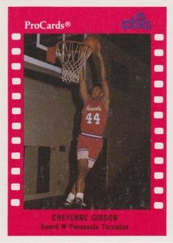 1990-91 ProCards CBA #34 Cheyenne Gibson Front