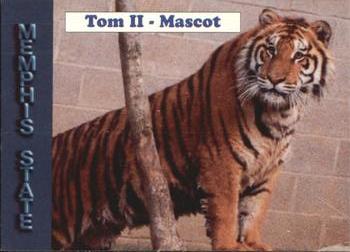 1992-93 Memphis State Tigers #15 Tom II Mascot Front