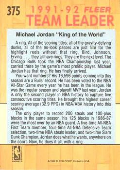 1991-92 Fleer - 3D Acrylic #375 Michael Jordan Back