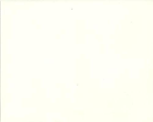 1984-85 Portland Trail Blazers #NNO Bernard Thompson / Mychal Thompson / Darnell Valentine / Kiki Vandeweghe / Peter Verhoeven / Jack Ramsay / Rick Adelman / Morris Buckwalter Back