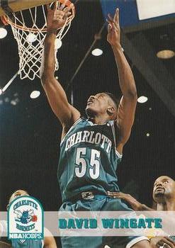 1993-94 Hoops #310 David Wingate Front