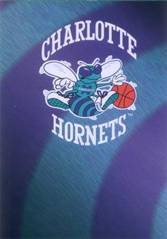 1994-95 Hoops #393 Charlotte Hornets Front