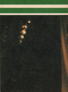 1981-82 Fleer NBA Team Stickers - 1981 NBA Champion Boston Celtics Puzzle Sticker Backs #NNO D1 (Row 1 Column 4) Front