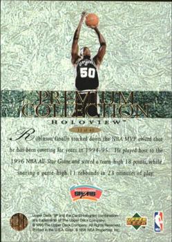 1995-96 SP - Premium Collection Holoview #33 David Robinson Back