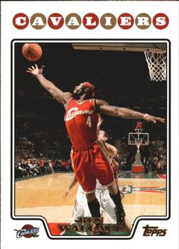 2008-09 Topps - Gold Foil #133 Ben Wallace Front