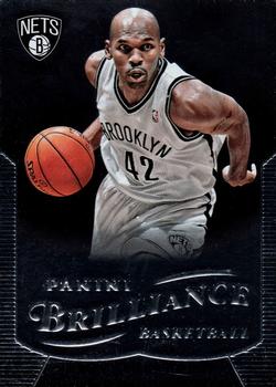 2012-13 Panini Brilliance #24 Jerry Stackhouse Front