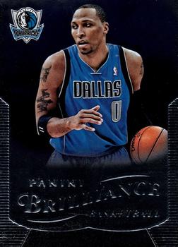 2012-13 Panini Brilliance #53 Shawn Marion Front