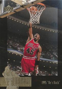 1995-96 Upper Deck The Jordan Collection 3x5 #JC15 1995 