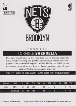 2013-14 Hoops - Gold #45 Tornike Shengelia Back
