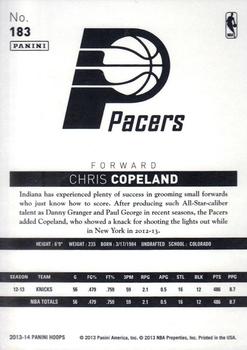 2013-14 Hoops - Gold #183 Chris Copeland Back