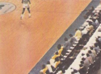 1978-79 Fleer NBA Team Stickers #NNO Boston Celtics Logo / Washington Bullets Script Back