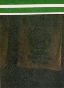 1981-82 Fleer NBA Team Stickers #NNO Boston Celtics Logo (Yellow) Back