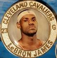 2005 Hardwood Heroes NBA Medallions #NNO LeBron James Front