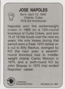 1991 All World #119 Jose Napoles Back