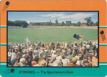1988-89 Scanlens Stimorol Cricket #137 Australian Supporter Front