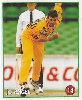 1997-98 Select Cricket Stickers #14 Jo Angel Front