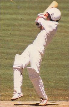 1978-79 Ardmona World Series Cricket #NNO David Hookes Front
